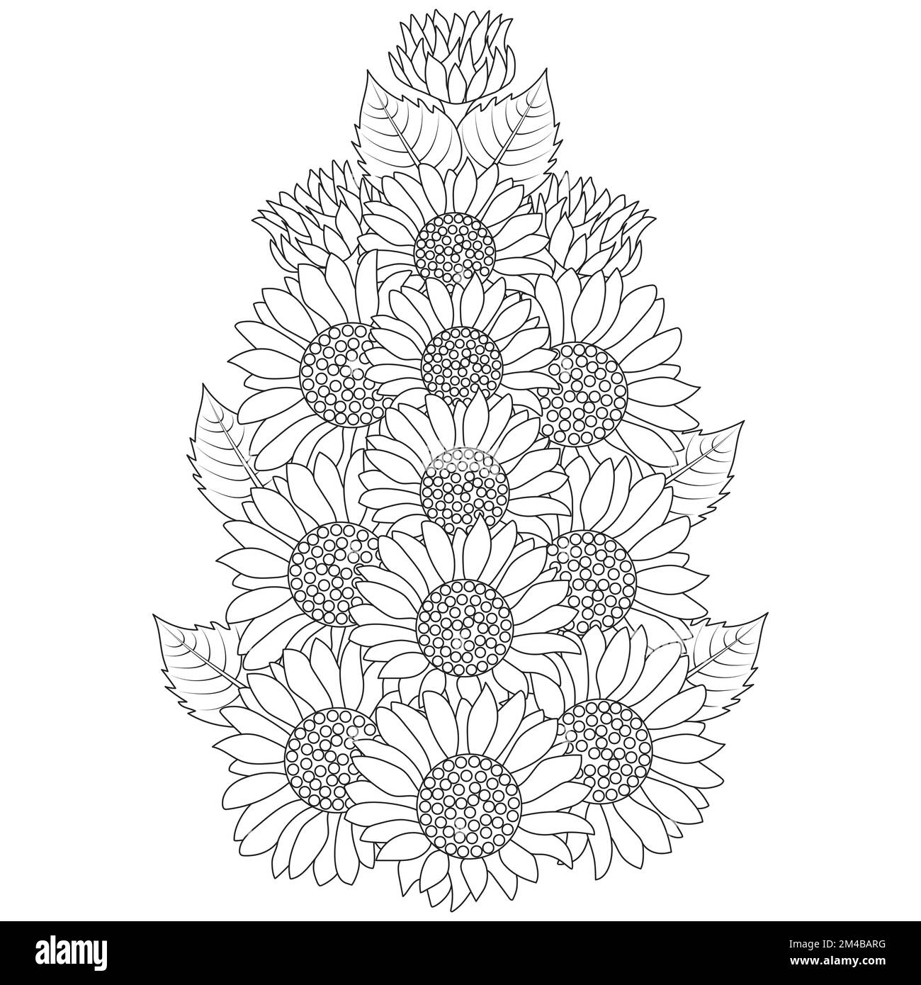 Sonnenblumenvektorumriss Farbseite der blühenden Blütenblätter und hinterlässt eine Illustration der Blüten Stock Vektor