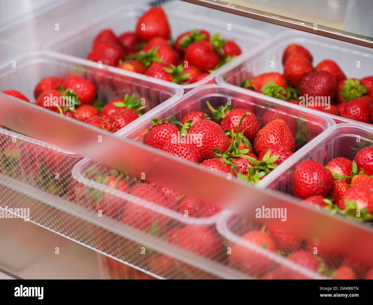 Einige Plastikbehälter voller biologischer roter Erdbeeren in einem Kühlschrank. Nahaufnahme Stockfoto