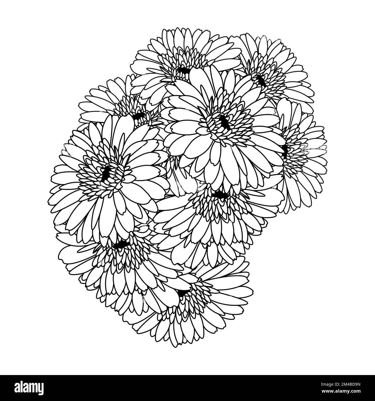 Wunderschöne Blumen der Gerbera Gänseblümchen Farbzeichnung in Vektorgrafik der Strichkunst Stock Vektor