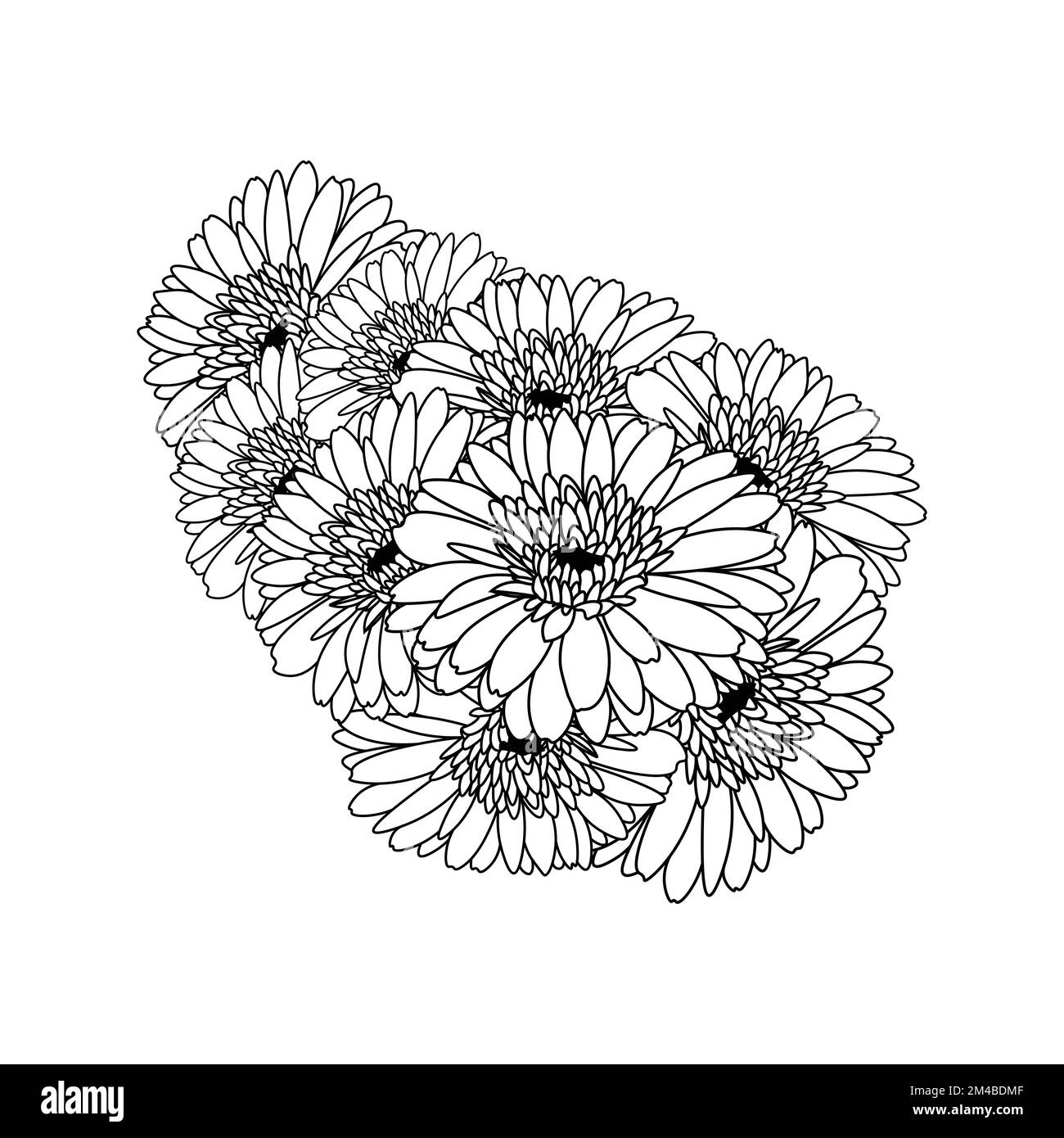 Wunderschöne Blumen der Gerbera Gänseblümchen Farbzeichnung in Vektorgrafik der Strichkunst Stock Vektor