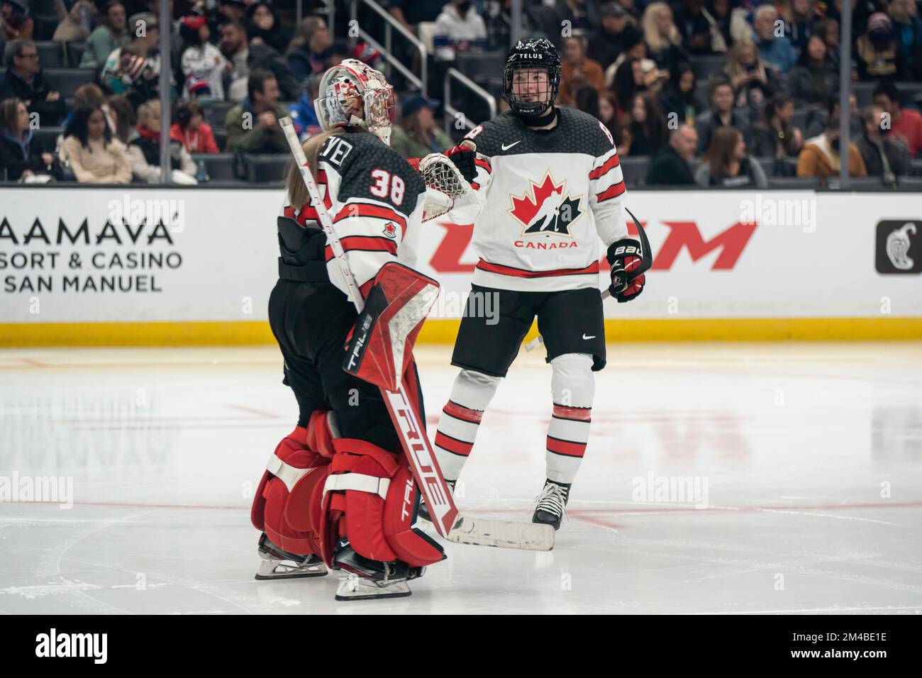 Team Canada Forward Julia Gosling (88) würdigt Torwart Emerance Maschmeyer (38) während der Rivalry Series 2022-23 gegen die Vereinigten Staaten von Ame Stockfoto