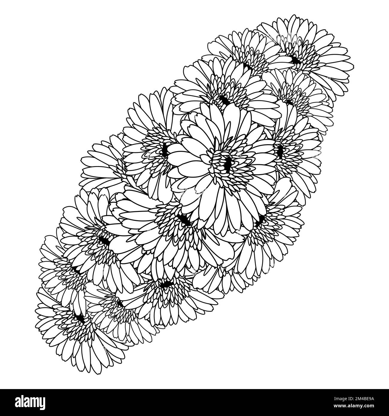 Wunderschöne Blumen der Gerbera Gänseblümchen Farbzeichnung in Vektorgrafik der Strichkunst Stock Vektor