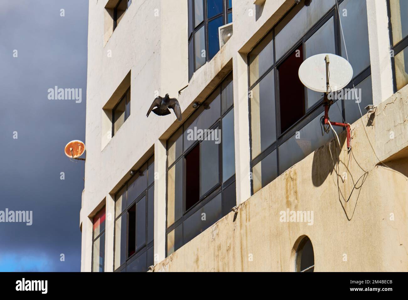 Tauben fliegen in einer marokkanischen Straße Stockfoto