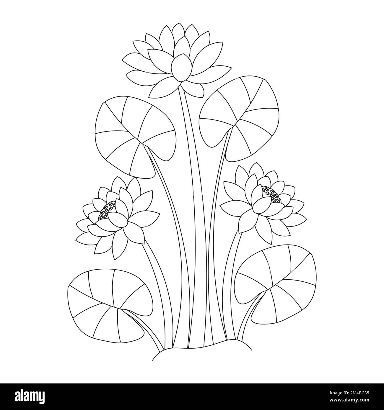 Wasserlilie Blütenfärbung Seite der Einfachheit künstlerisch gezeichnet mit Blütenblüte auf isoliertem Hintergrund Stock Vektor