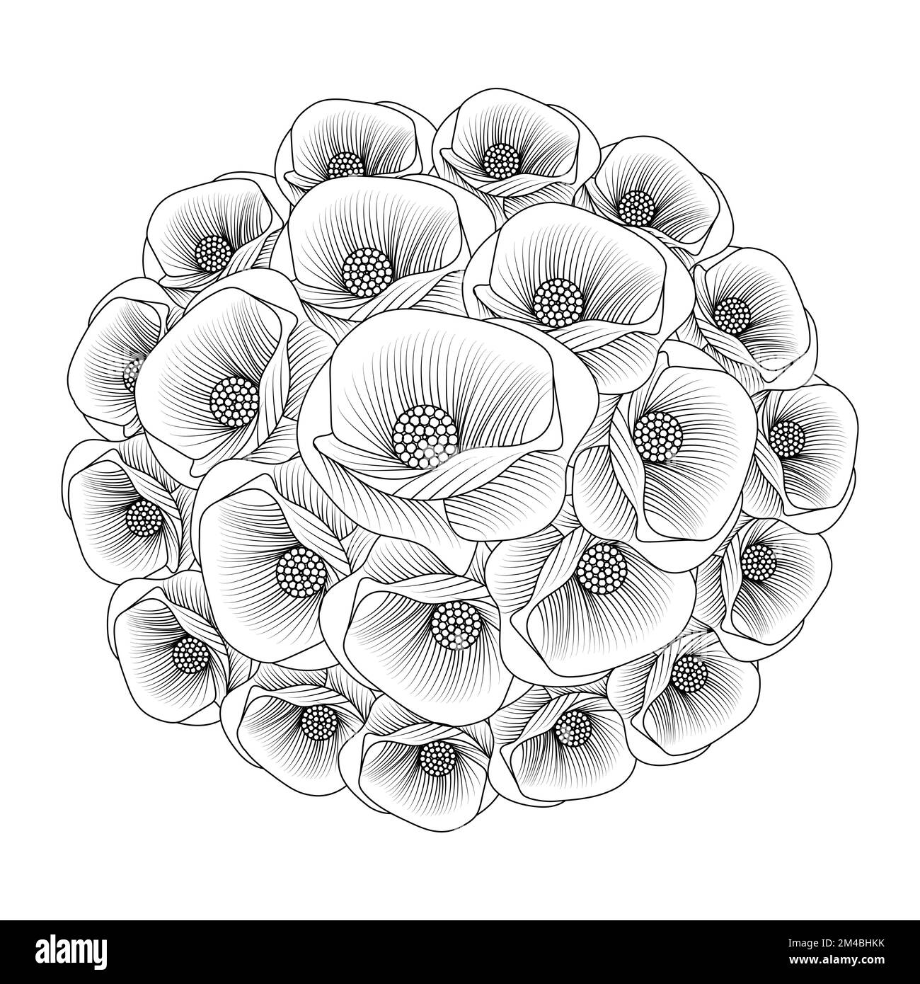 Mohnblumen Liniendesign der Farbseite Blume mit detaillierter Linienart-Vektorgrafik Stock Vektor