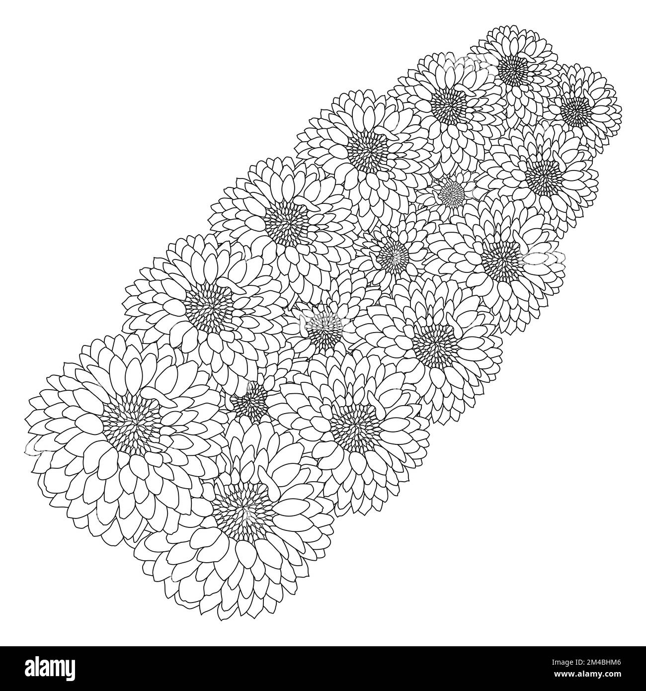 Wunderschöne Blumen Malseite mit Bleistiftskizze, detailliert in Vektorgrafik von Strichgrafiken Stock Vektor