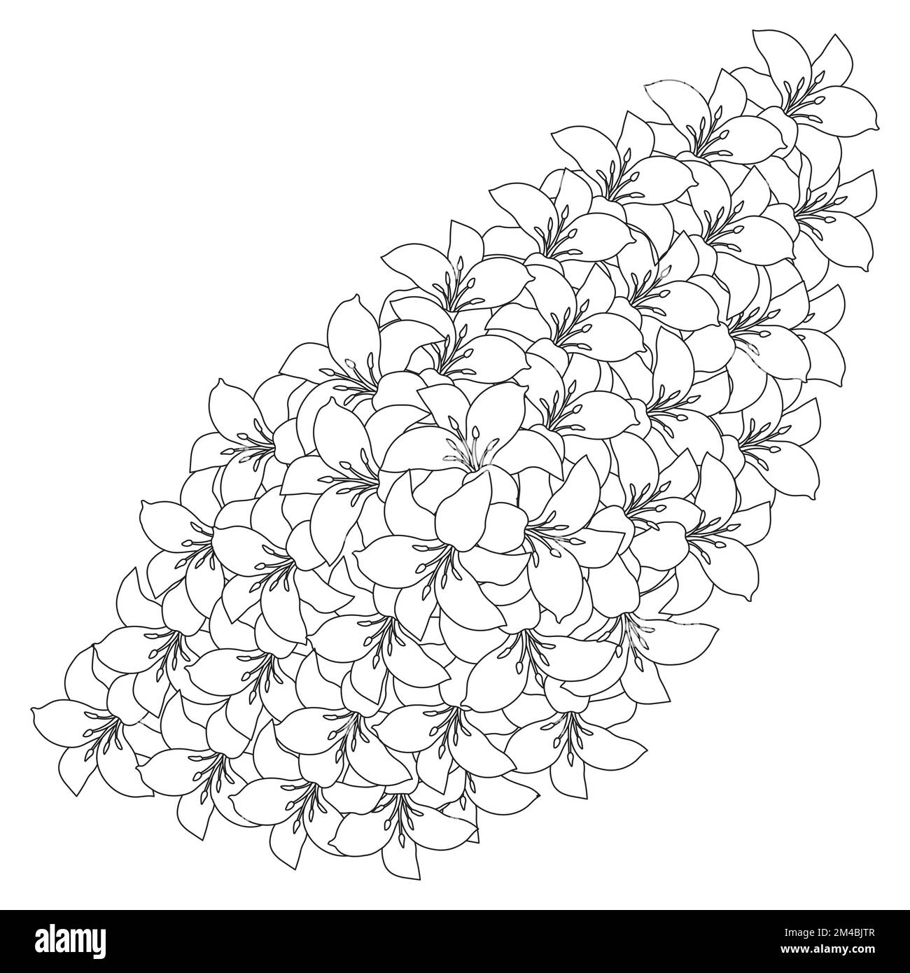 lily Flower und lilium Flower Ausmalseite umgibt dekorative Strichgrafiken Vektorgrafiken Stock Vektor