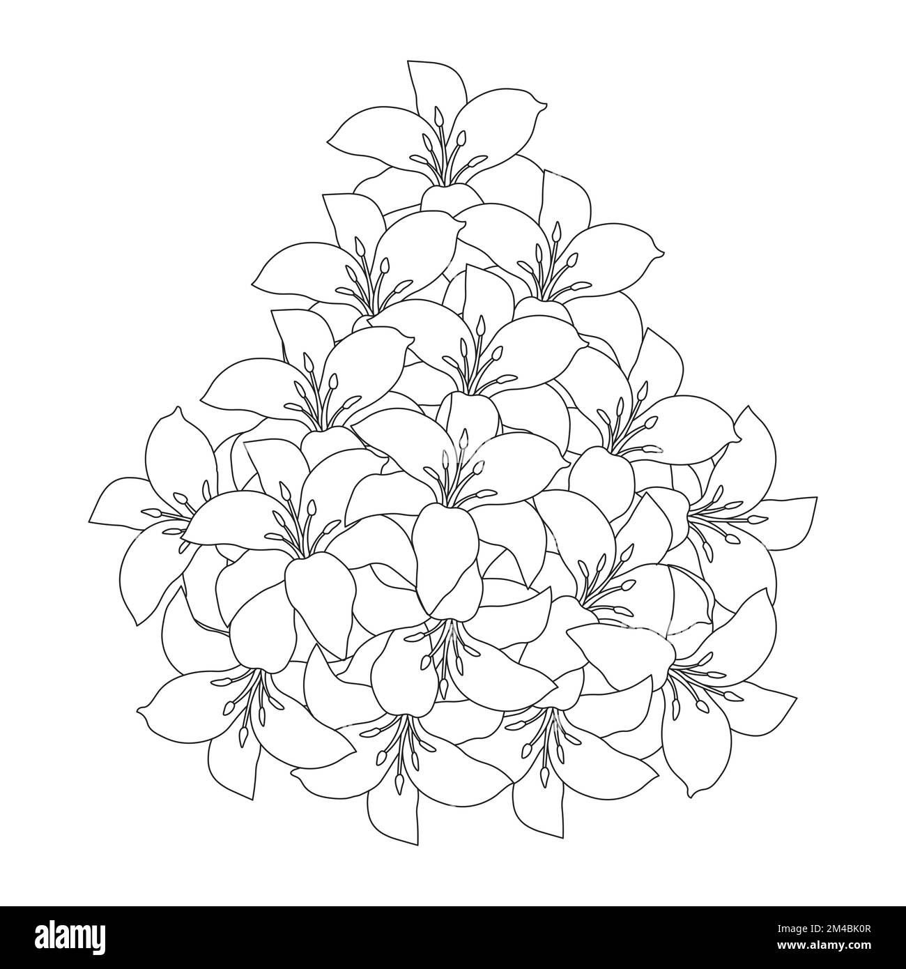 lily Flower und lilium Flower Ausmalseite umgibt dekorative Strichgrafiken Vektorgrafiken Stock Vektor
