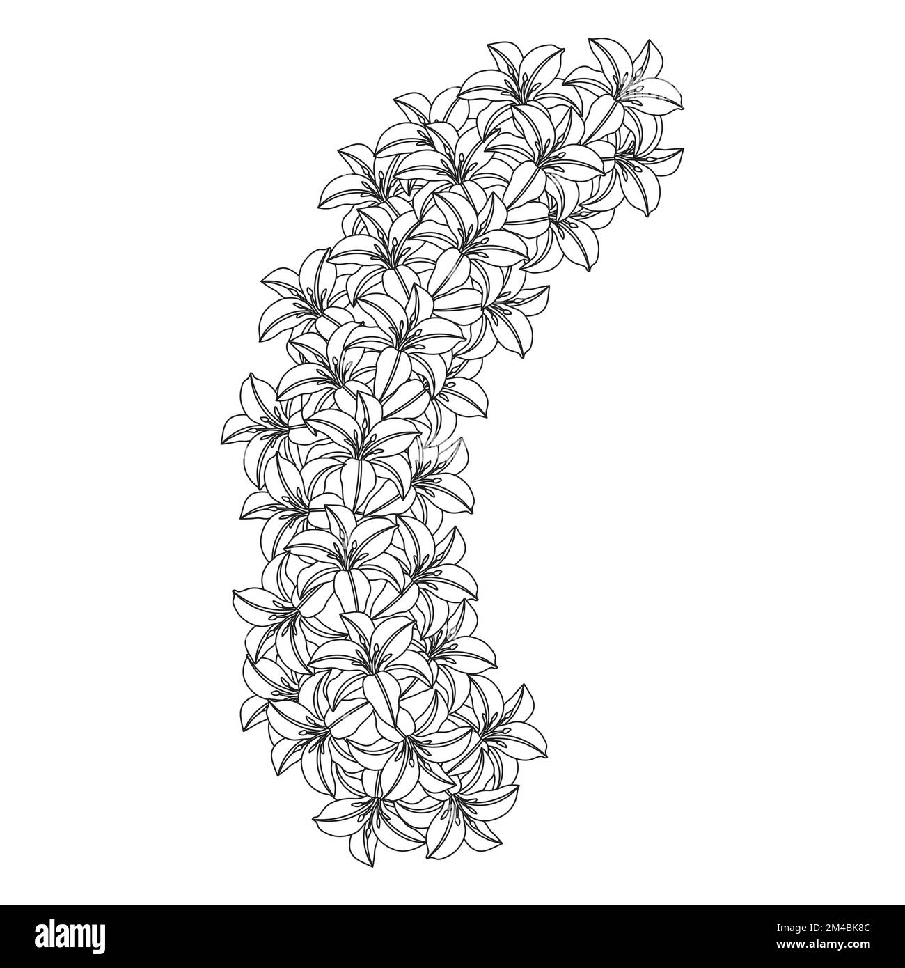 lily Flower und lilium Flower Ausmalseite umgibt dekorative Strichgrafiken Vektorgrafiken Stock Vektor