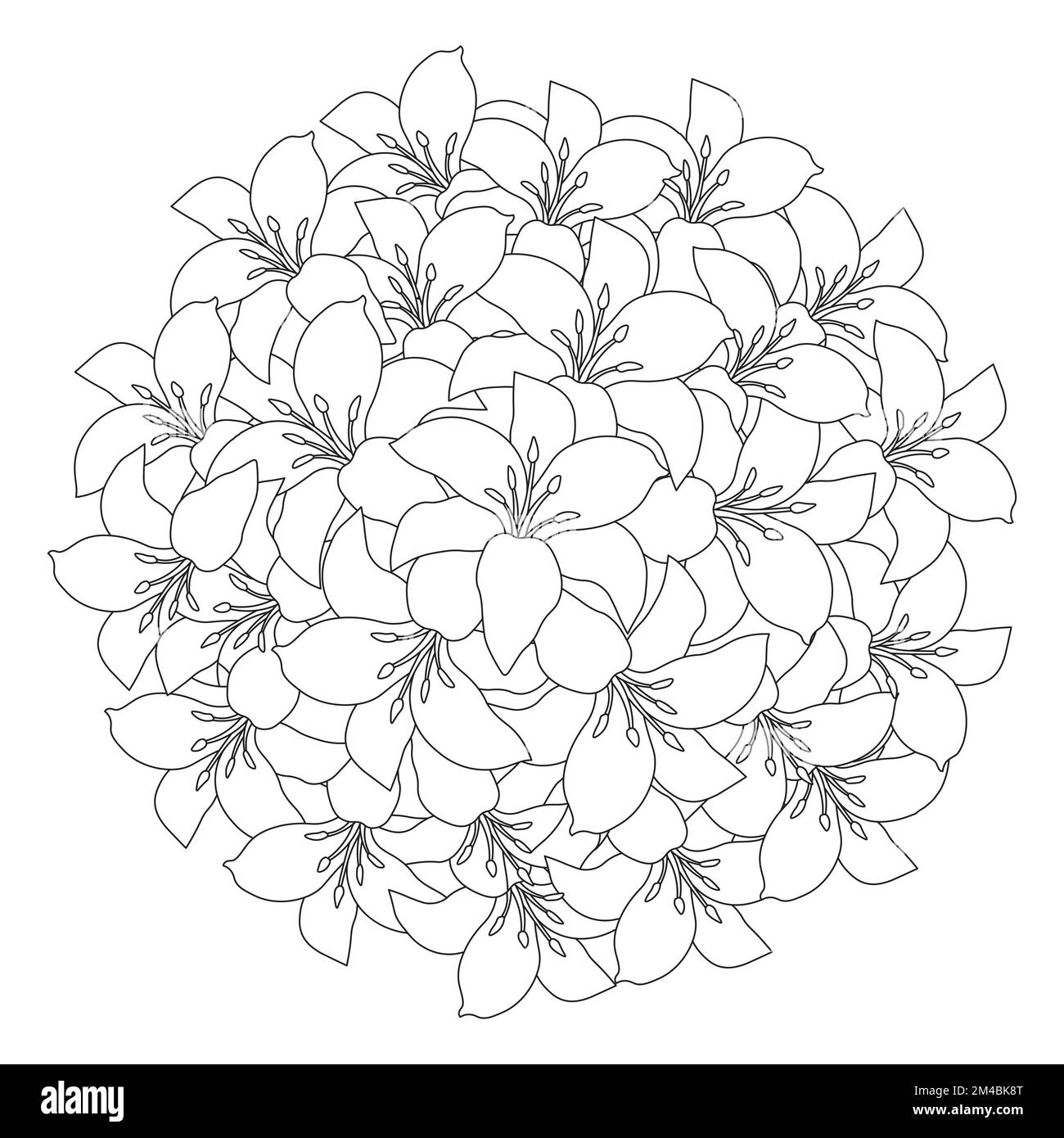 lily Flower und lilium Flower Ausmalseite umgibt dekorative Strichgrafiken Vektorgrafiken Stock Vektor
