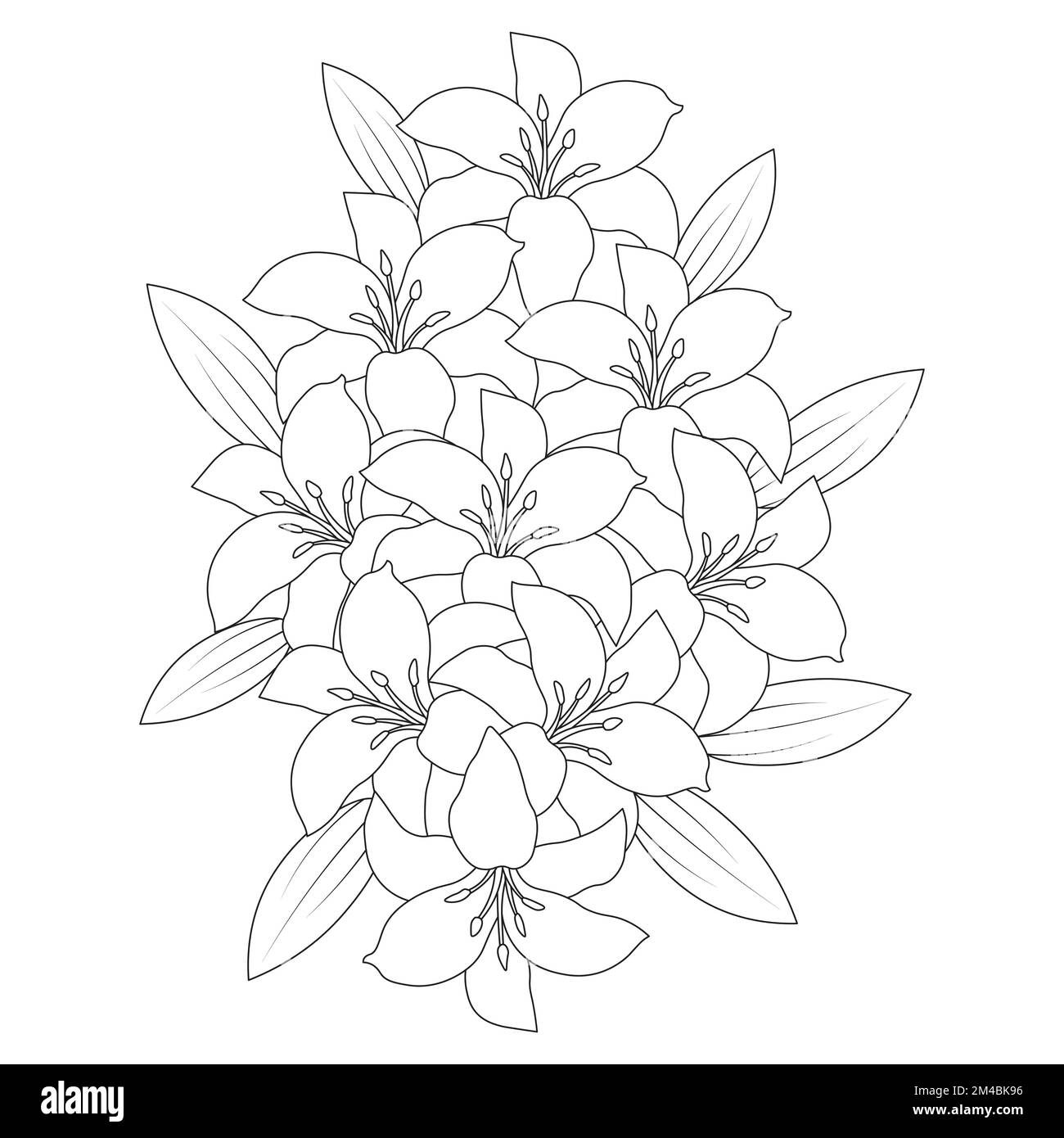 lily Flower und lilium Flower Ausmalseite umgibt dekorative Strichgrafiken Vektorgrafiken Stock Vektor