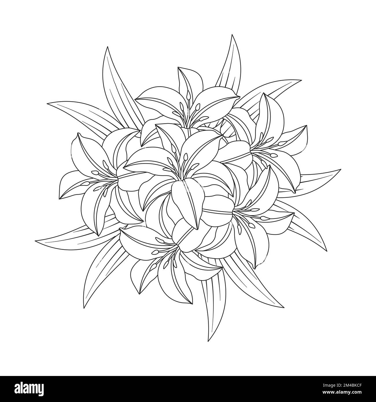 lily Flower und lilium Flower Ausmalseite umgibt dekorative Strichgrafiken Vektorgrafiken Stock Vektor