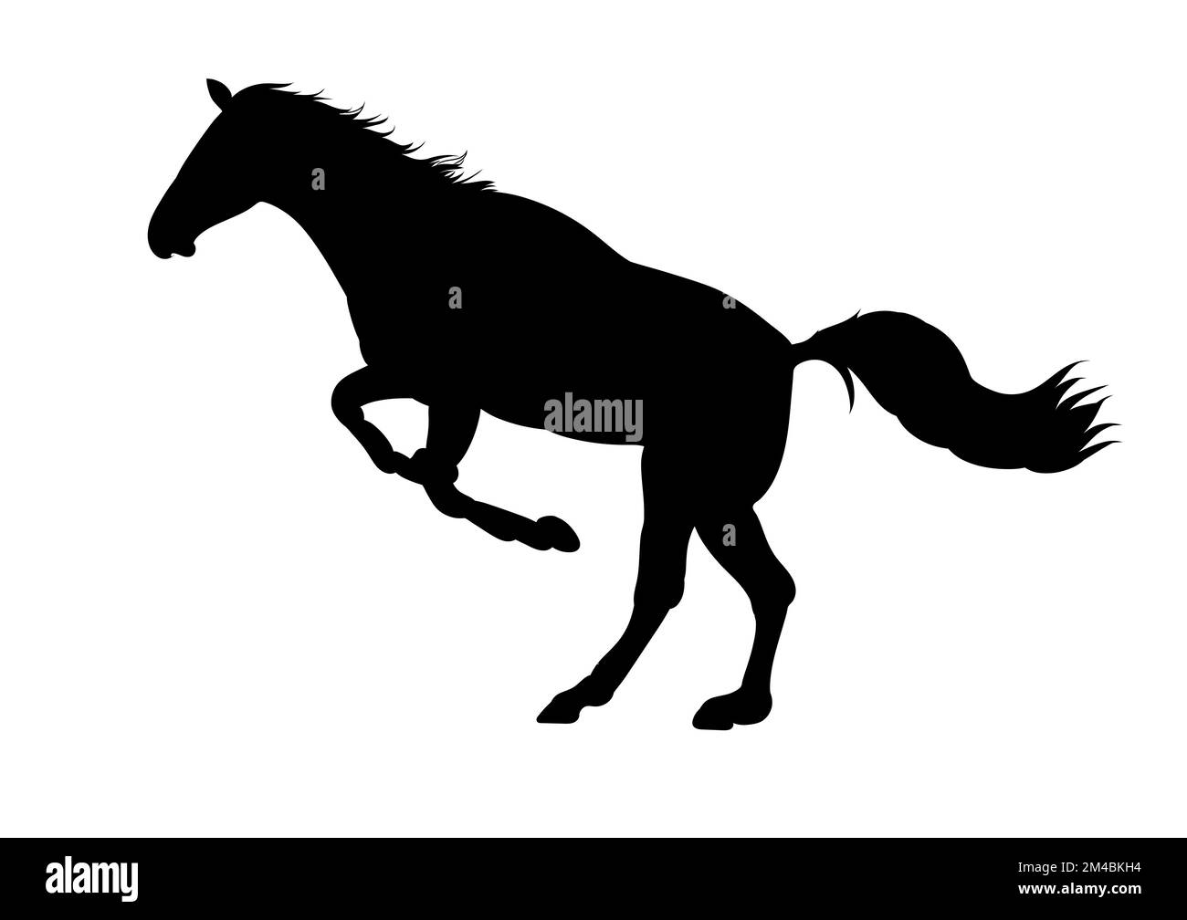 Grafikdesign Silhouette Pferd isolierte weiße Hintergrundvektordarstellung Stock Vektor