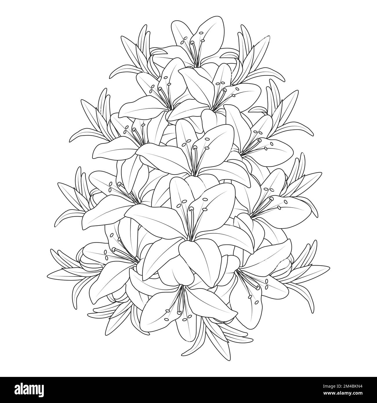 lily Flower und lilium Flower Ausmalseite umgibt dekorative Strichgrafiken Vektorgrafiken Stock Vektor