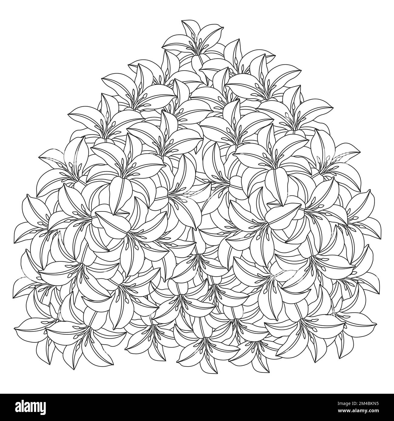 lily Flower und lilium Flower Ausmalseite umgibt dekorative Strichgrafiken Vektorgrafiken Stock Vektor