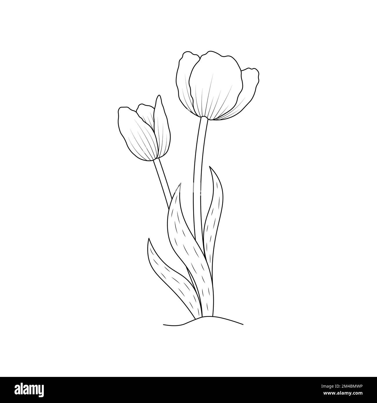 tulpenblüten-Farbseitendesign für Buchdruckvorlagen mit schwarzem Strich Stock Vektor