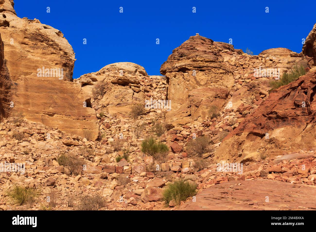 Sandsteinschlucht, Felsformationen in Petra, Jordanien, UNESCO-Weltkulturerbe Stockfoto