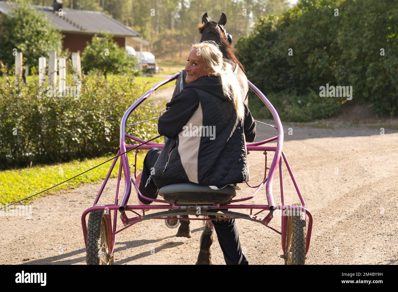 Die Dame trainiert ein Pferd, das in einem Schmollhaus auf einem Gleis sitzt. Hochwertiges Foto Stockfoto