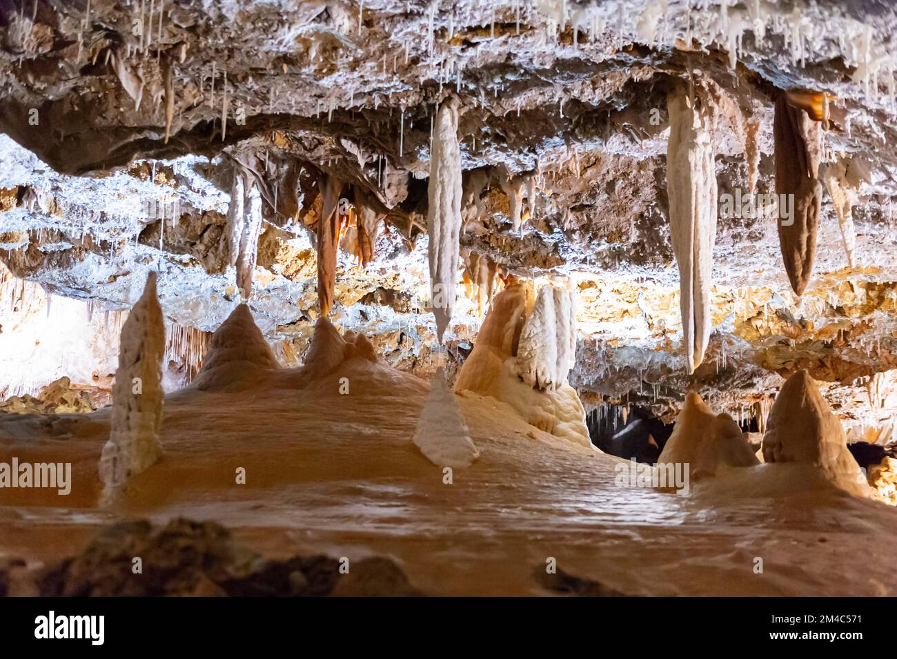 Carsic Caves, borgio verezzi, italien Stockfoto