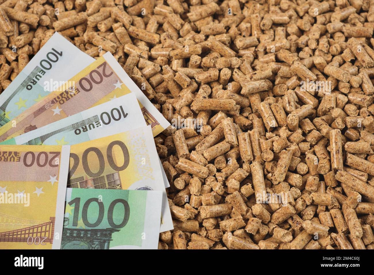 Pelletbrennstoff. Holzsägemehl, Pellets und Papierbanknoten, Geld. Euro-Währung und Biokraftstoff-verdichtete Briketts. Ersatz für Kohle, Holzkohle. Weltgas Stockfoto