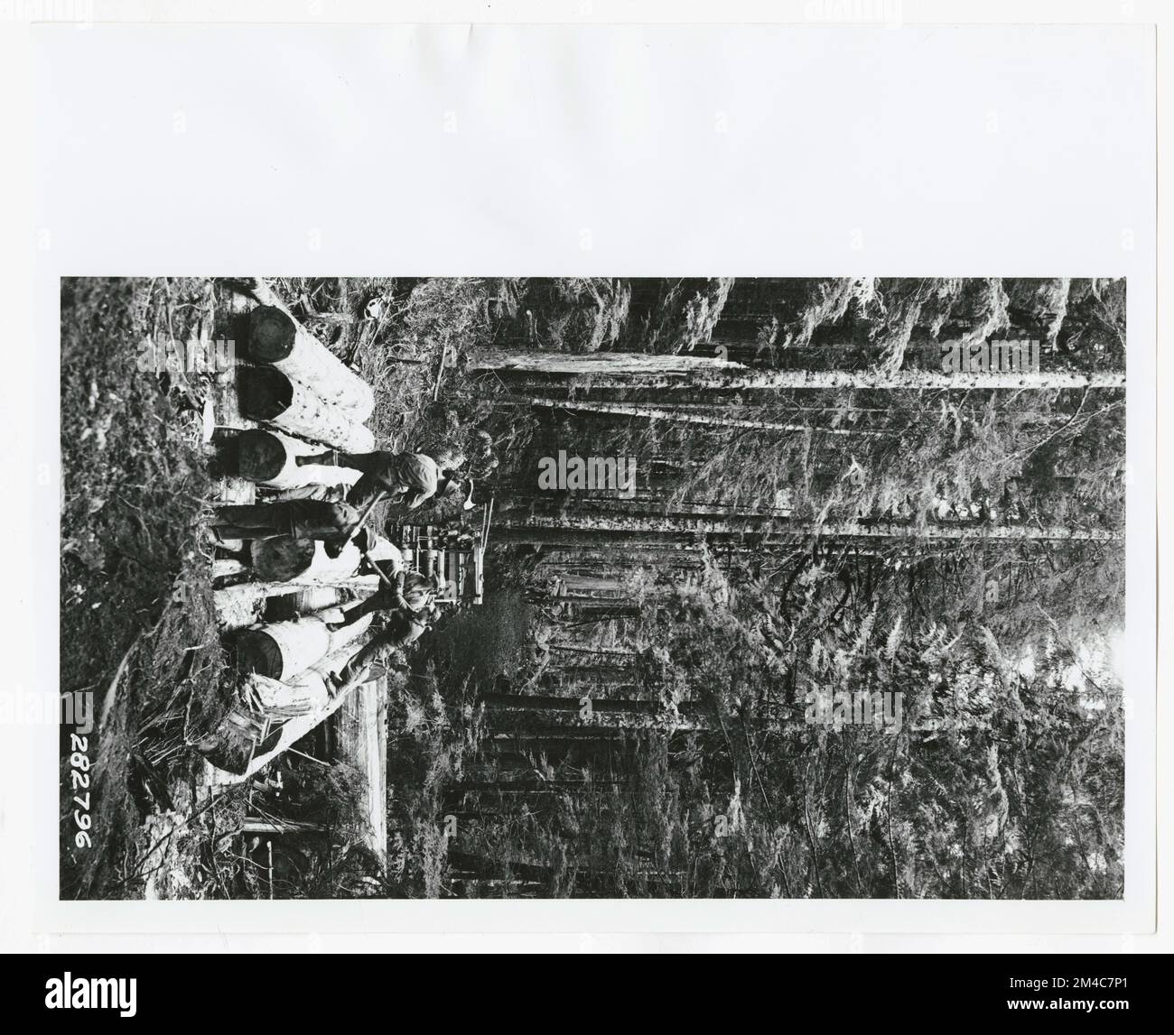 Straßeninstandhaltung - Washington. Fotografien zu National Forests, Resource Management Practices, Personal sowie Kultur- und Wirtschaftsgeschichte Stockfoto