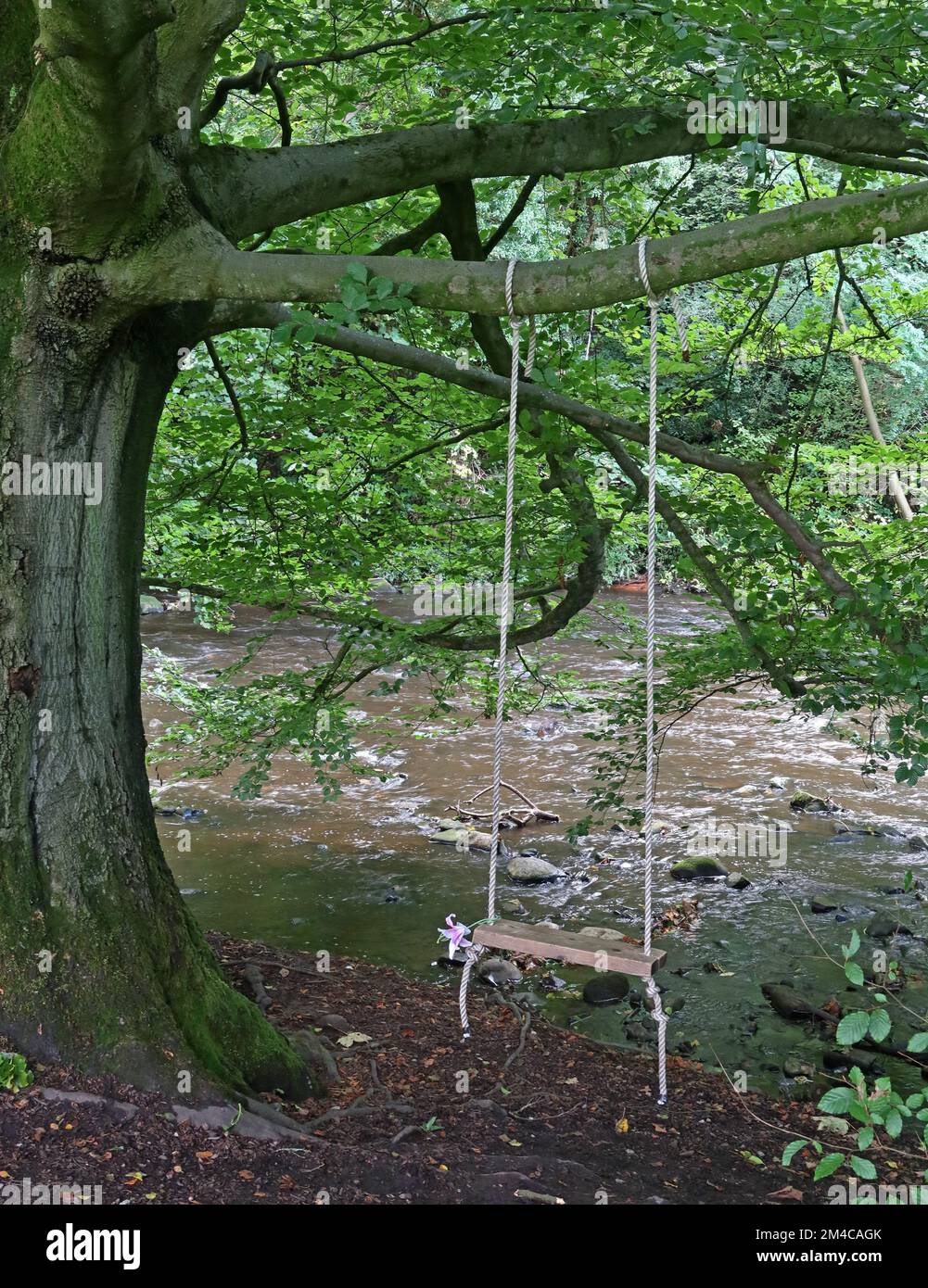 Handgefertigte Schaukel auf einem Zweig eines Baumes, in der Nähe des Flusses Goyt, Brabyns Park, Marple, Stockport, Cheshire, England, Großbritannien, SK6 5DT Stockfoto