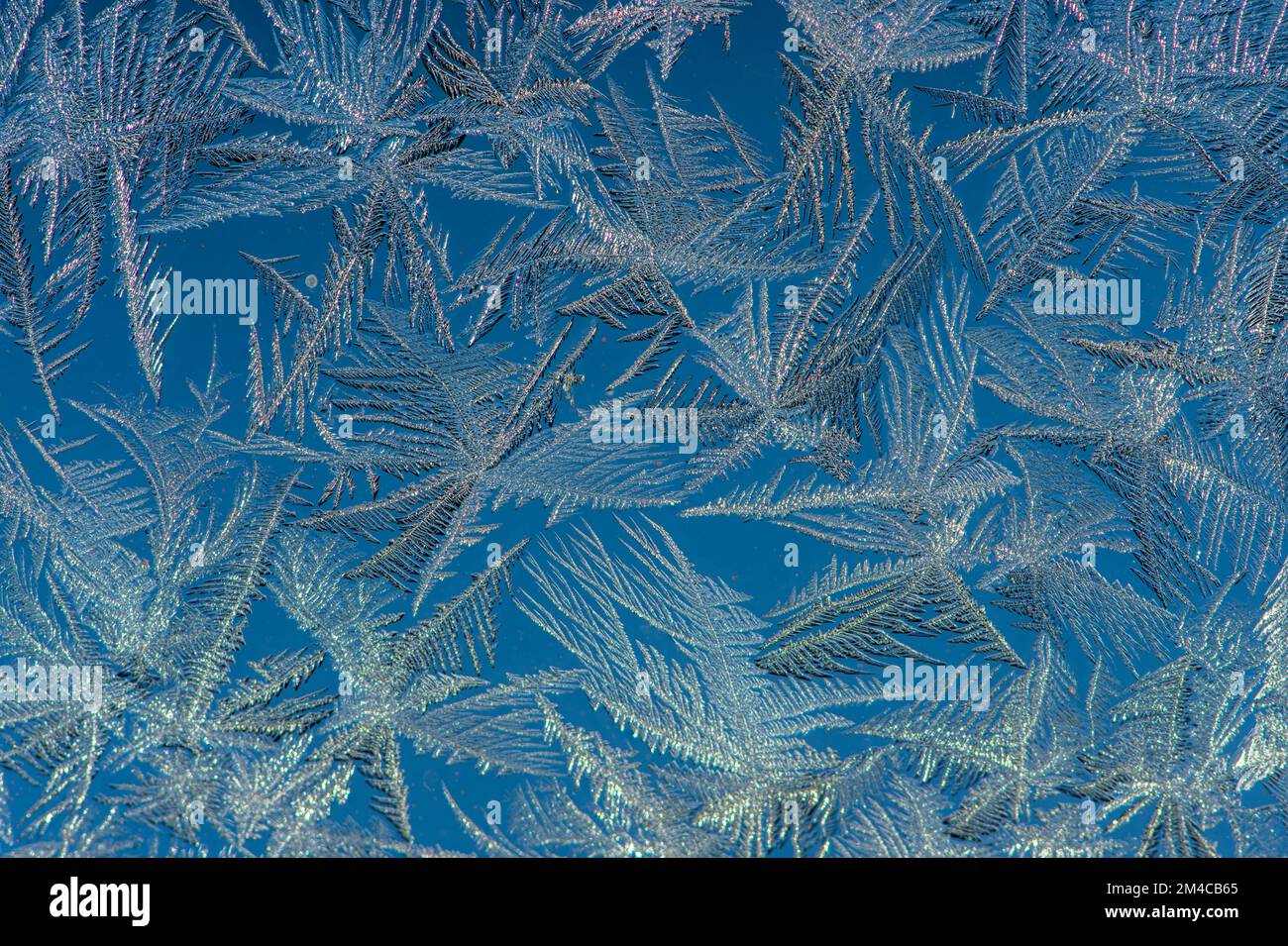 Window Frost, Greater Sudbury, Ontario, Kanada Stockfoto