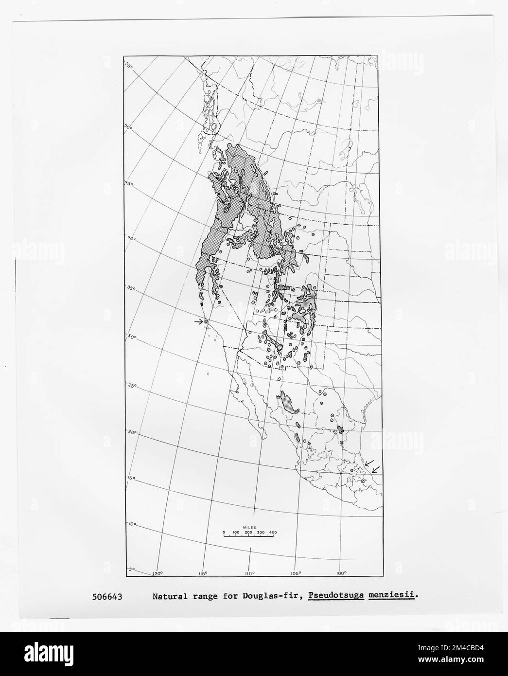 Karten und Karten – Alle Status. Fotografien zu National Forests, Resource Management Practices, Personal sowie Kultur- und Wirtschaftsgeschichte Stockfoto