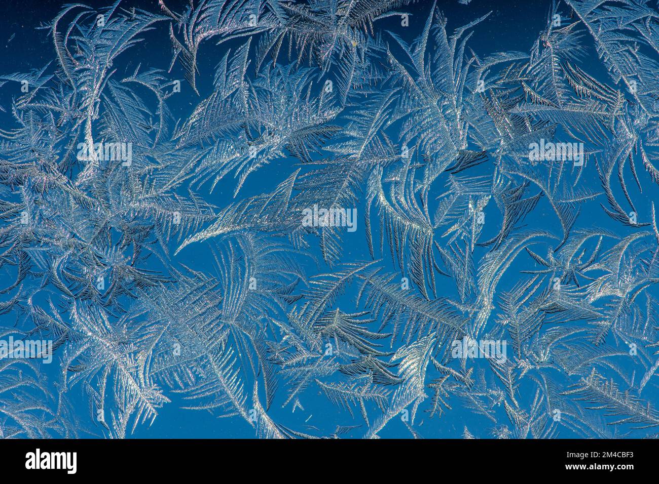 Window Frost, Greater Sudbury, Ontario, Kanada Stockfoto