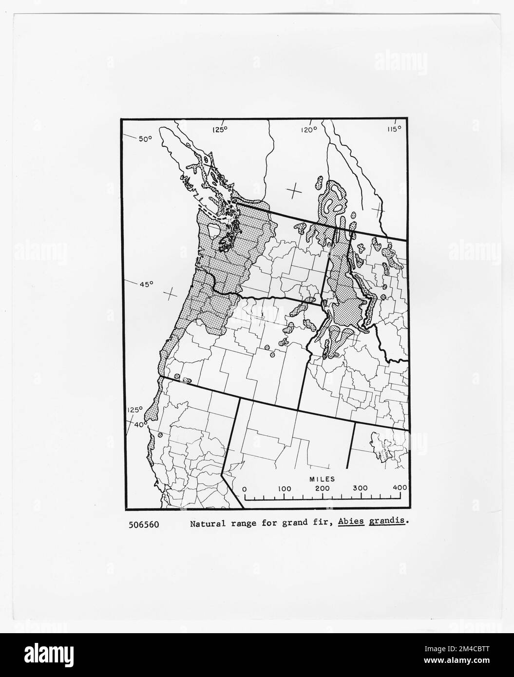Karten und Karten – Alle Status. Fotografien zu National Forests, Resource Management Practices, Personal sowie Kultur- und Wirtschaftsgeschichte Stockfoto