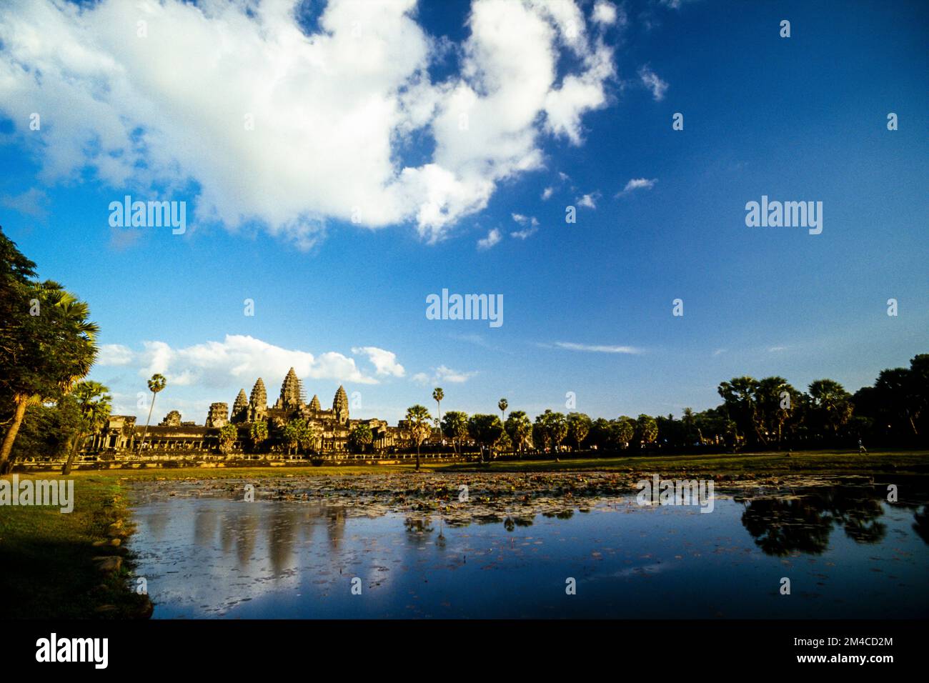 Angkor Wat, im Lotos-See gespiegelt Stockfoto