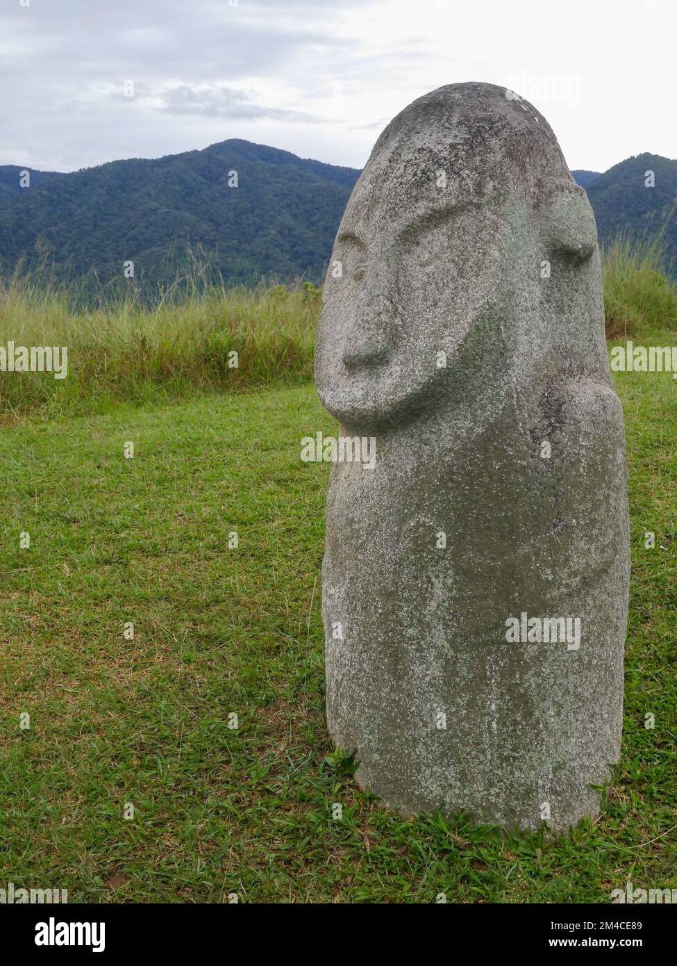 Ein Seitenblick auf den geheimnisvollen antiken Megalith Loga im Lore Lindu National Park, Bada oder Napu Valley, Central Sulawesi, Indonesien Stockfoto