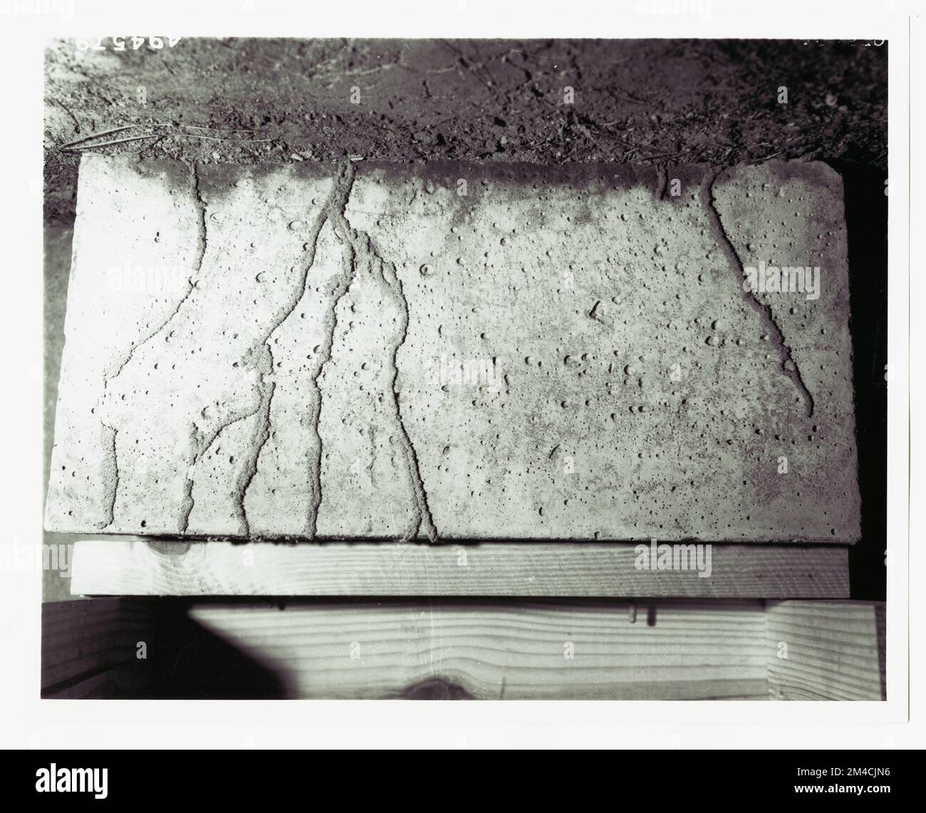 Insekten: Waldinsekten - Alle Staaten. Fotografien zu National Forests, Resource Management Practices, Personal sowie Kultur- und Wirtschaftsgeschichte Stockfoto