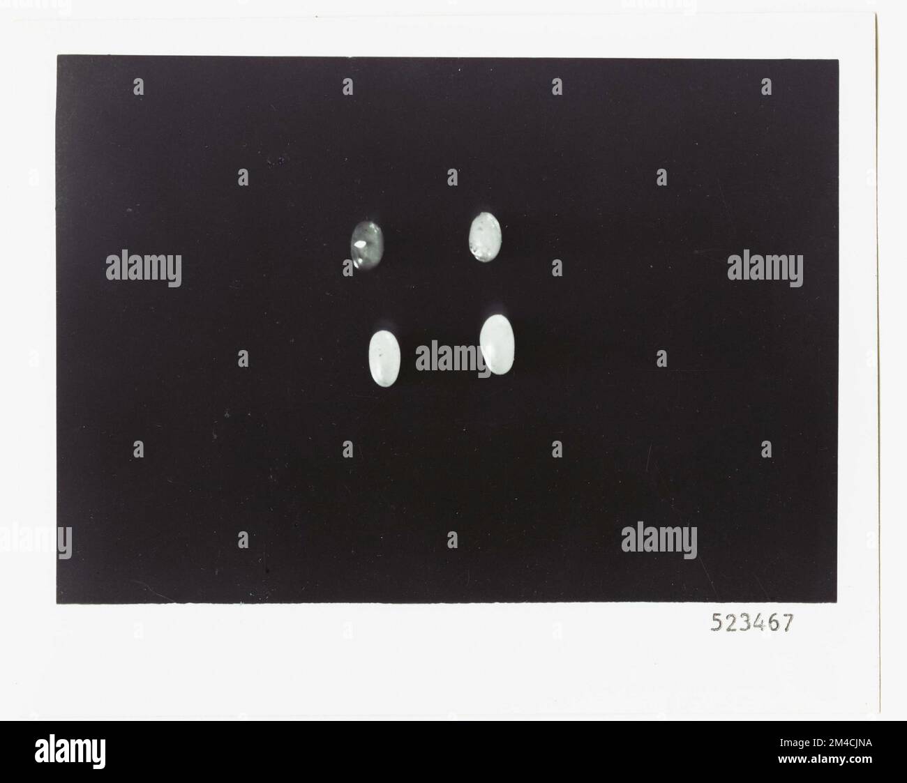 Insekten: Lebenszyklus - Alle Zustände. Fotografien zu National Forests, Resource Management Practices, Personal sowie Kultur- und Wirtschaftsgeschichte Stockfoto