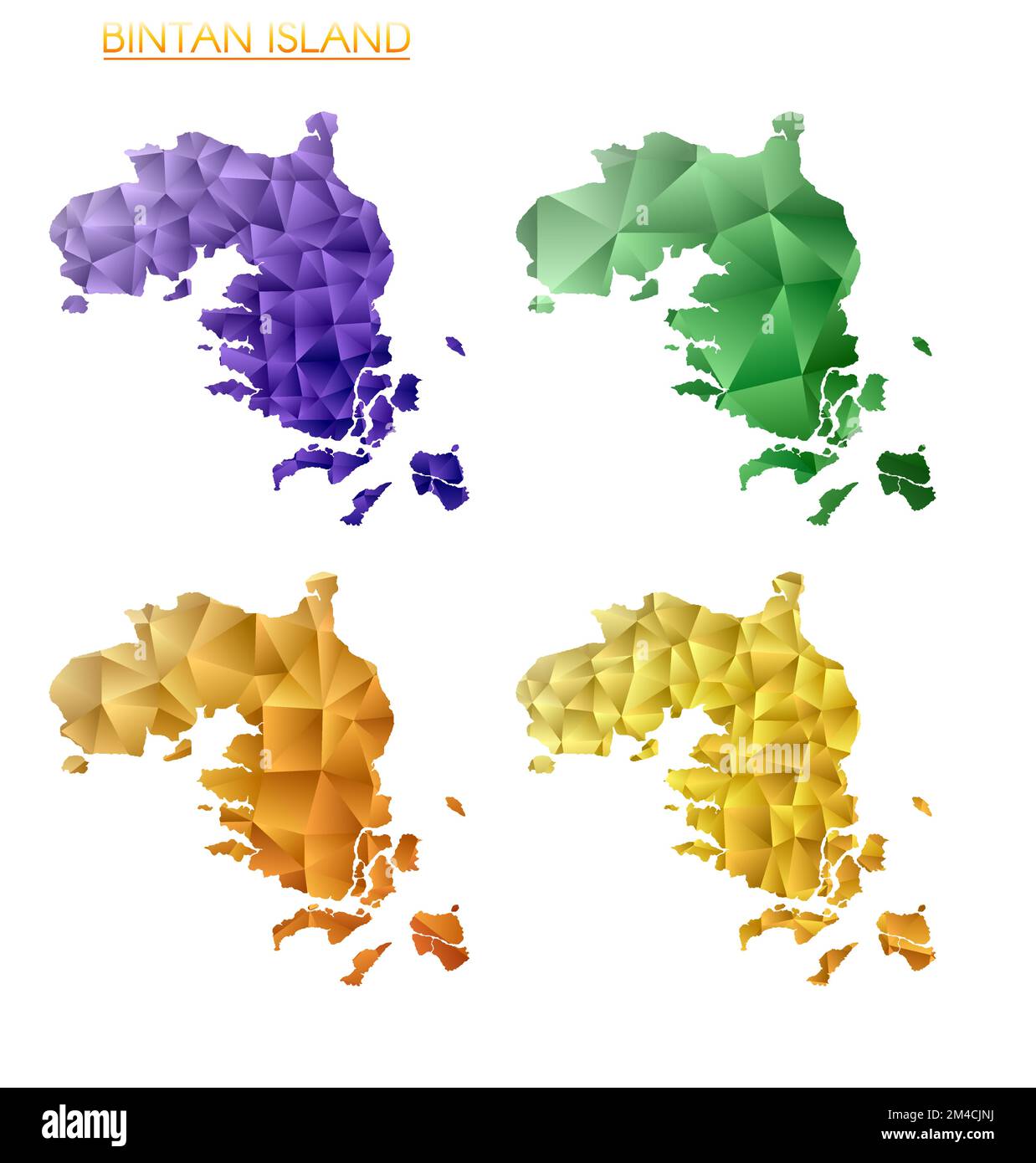 Satz von polygonalen Vektorkarten der Insel Bintan. Helle Gradientenkarte der Insel im niedrigen Poly-Stil. Mehrfarbige Karte der Insel Bintan im geometrischen Stil für Stock Vektor