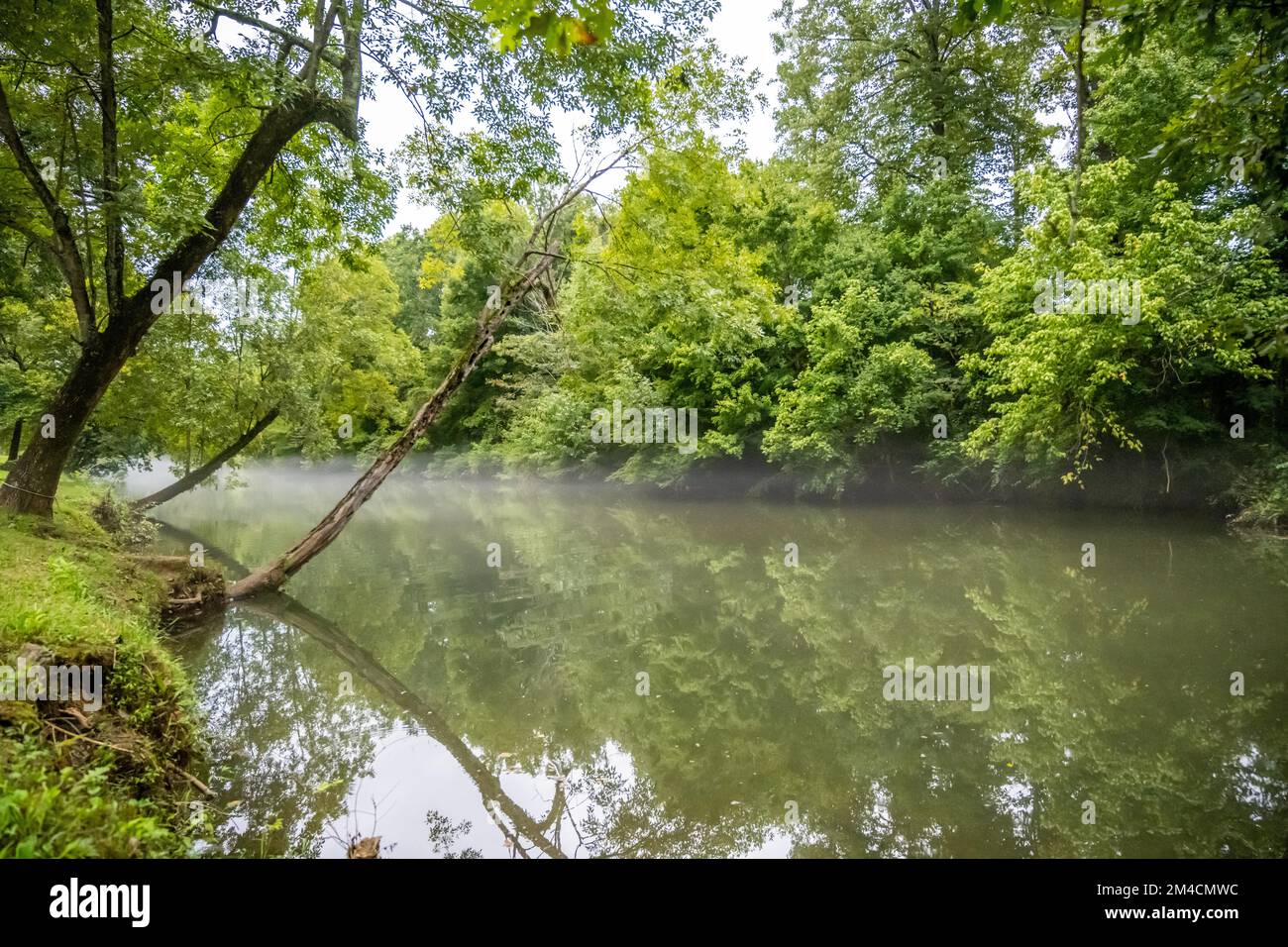 Blick auf die Landschaft in Talladega, Alabama Stockfoto