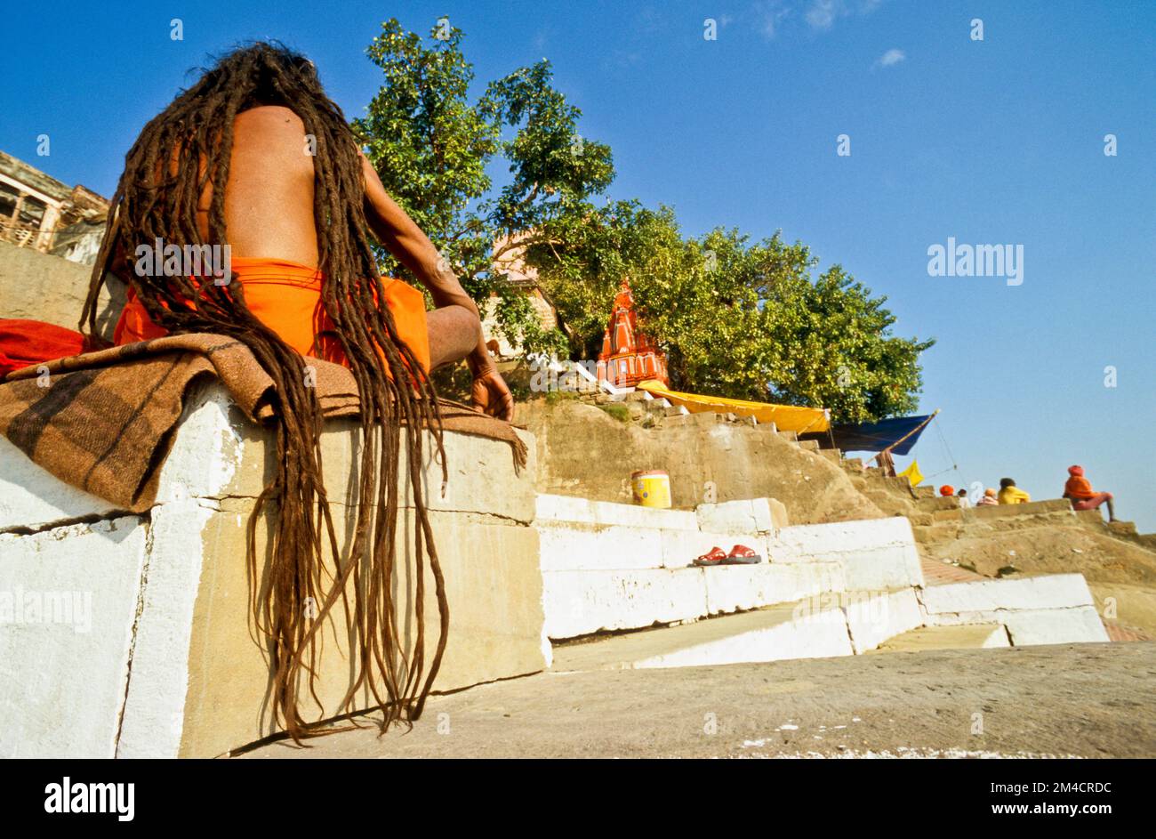 Lange Dreadlocks, Zeichen der vielen Shiva - sadhus Stockfoto