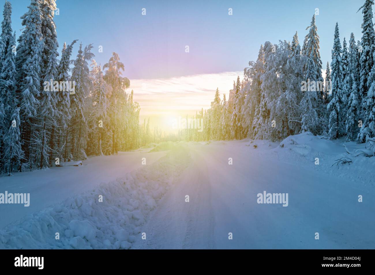 Fahrt durch den Wald an einem kalten Winterabend Stockfoto