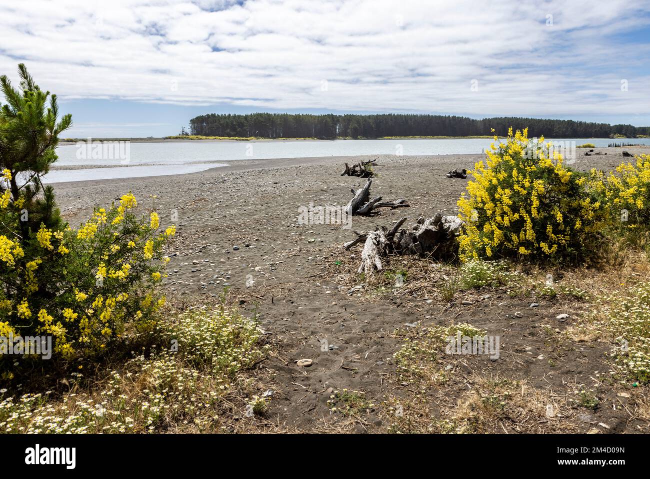 Caleta la Barra – der Punkt, an dem der Fluss Tolten in den pazifischen Ozean fließt, in Araucania, Chile Stockfoto