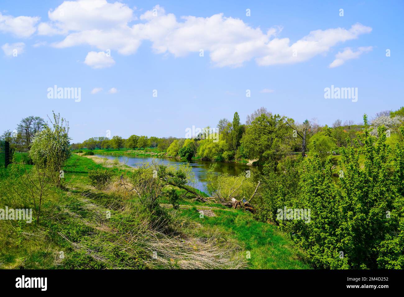 Mulde bei Bad Duben. Landschaft mit Fluss und grüner Natur. Stockfoto