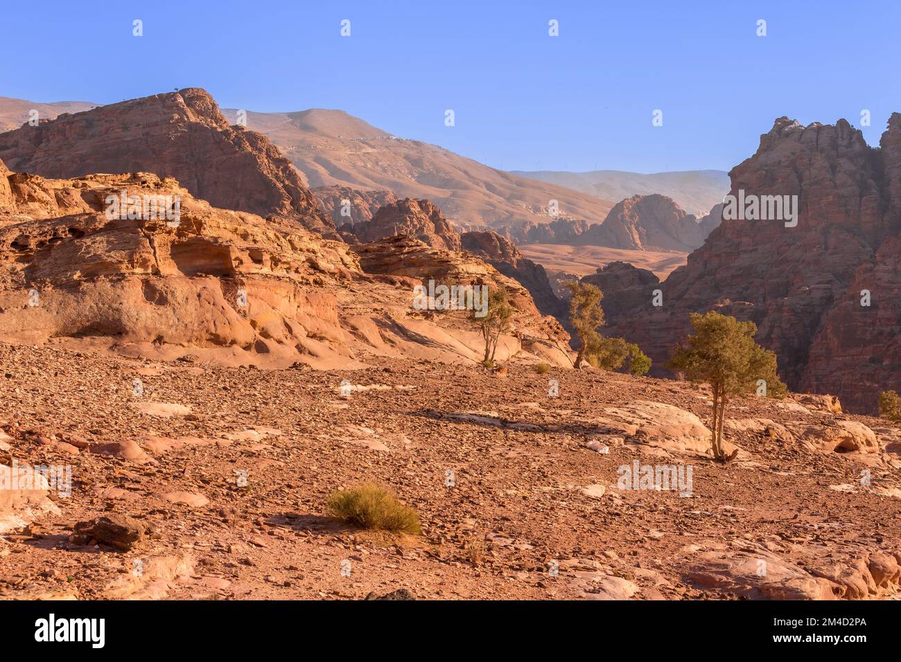 Sandsteinschlucht, Baum- und Felsformationen in Petra, Jordanien, UNESCO-Weltkulturerbe Stockfoto