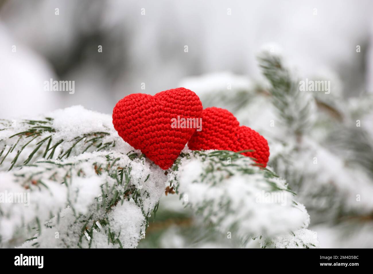 Zwei gestrickte Liebesherzen auf Tannenzweigen, die im Winterwald mit Schnee bedeckt sind. Konzept der Weihnachtsfeier oder des Valentinstages Stockfoto