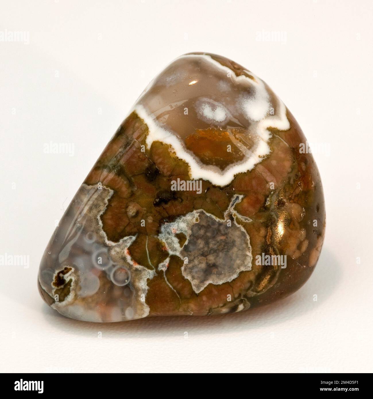 Makro-Nahbild-Farbfoto von "'Rain Forest Jasper'", einem Halbedelsteinstein zur Behandlung der Kristallheilung. Mineralbezeichnung Quartz - Si Stockfoto