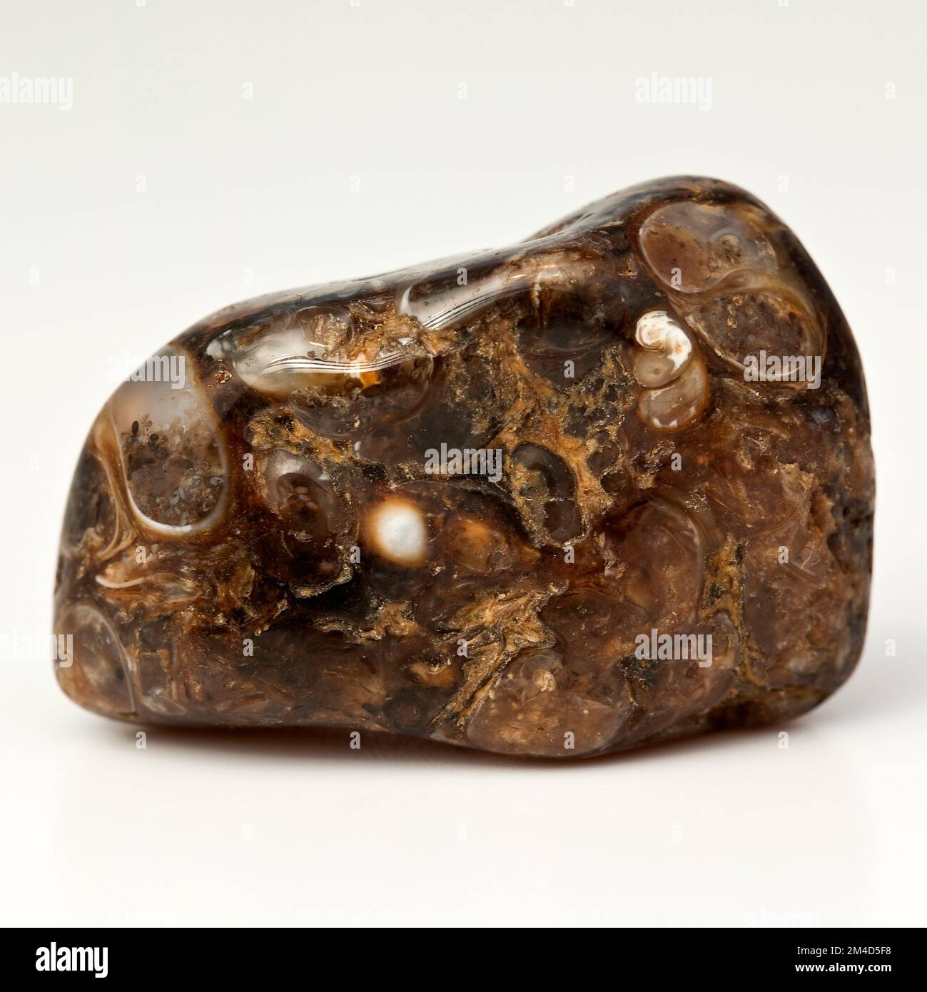 Makro-Nahbild-Farbfoto von Turitella oder Elemia Agate, einem Halbedelsteinstein zur Kristallheilungstherapie. Bio Juwel Fossil Sna Stockfoto