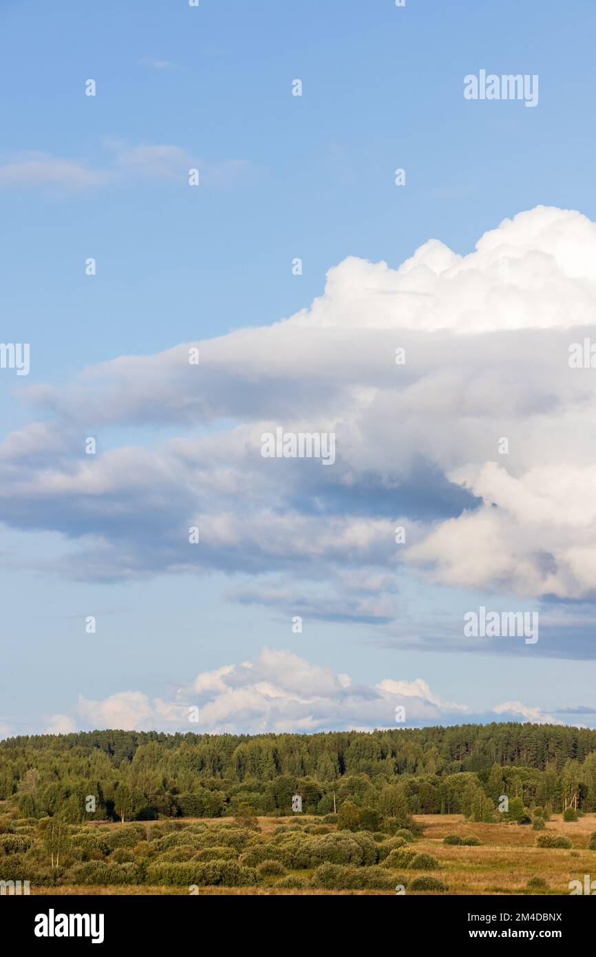 Ländliche Landschaft mit Wald unter bewölktem Himmel. Vertikales Foto Stockfoto
