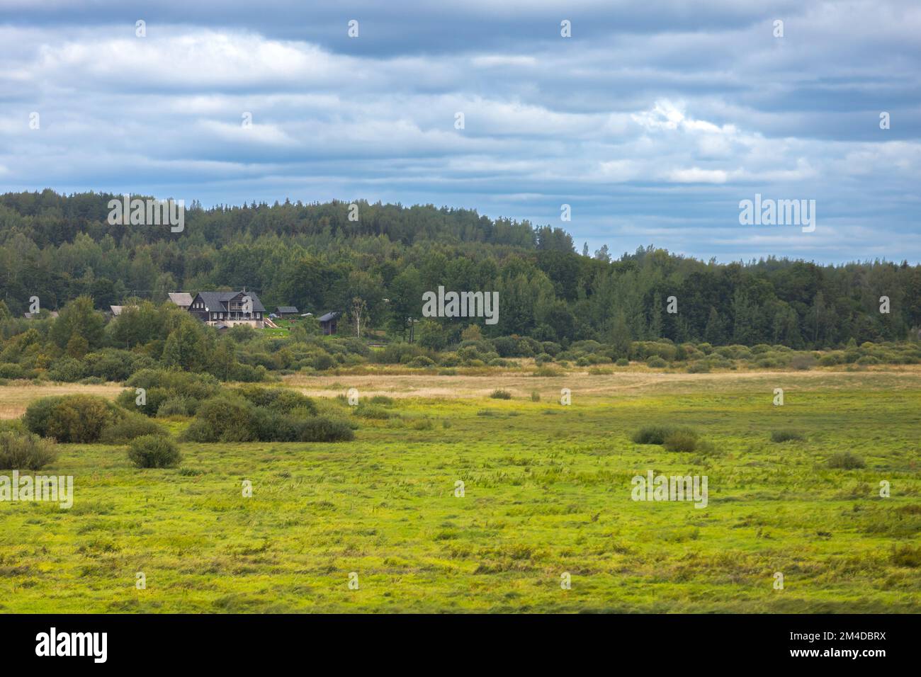 Leere ländliche russische Landschaft mit grüner Wiese und Wald unter bewölktem Himmel Stockfoto