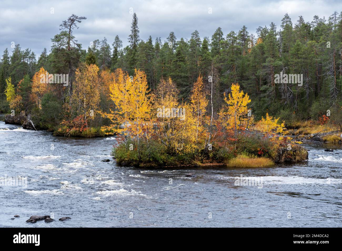 Herbstblick auf den farbenfrohen Taigawald und den Fluss Oulanka (Oulankajoki) im Oulanka-Nationalpark, Nordfinnland Stockfoto