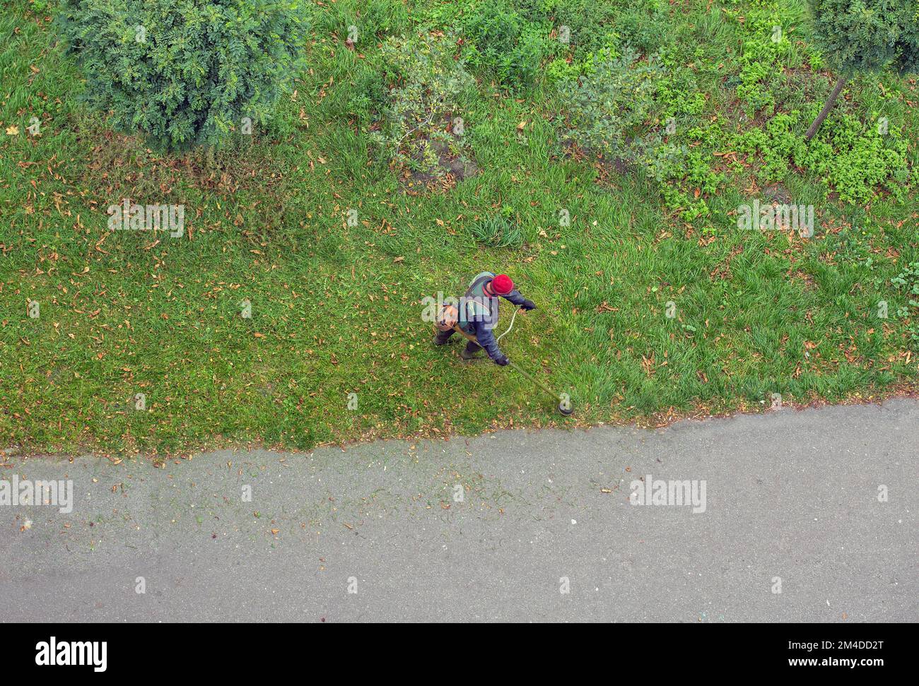 Arbeiter mäht das Gras mit einer Benzin-Motorsense in der Stadt, Draufsicht Stockfoto