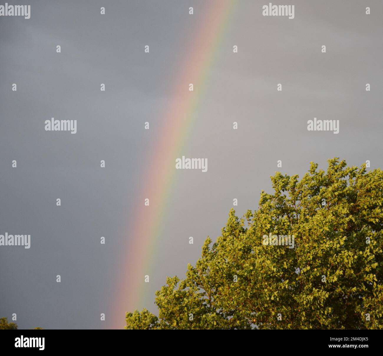 Regenbogen, Regenbogen Stockfoto