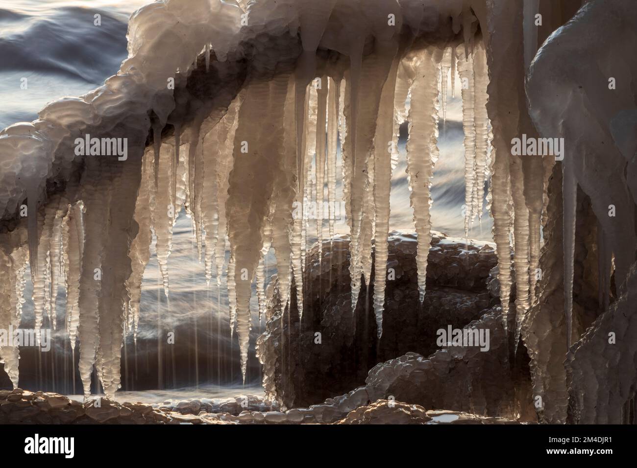 Hintergrundbeleuchtete Eiszapfen auf einem Zweig Stockfoto